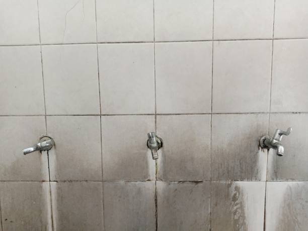 Best Carpet and Upholstery Water Damage Restoration in Sheffield, IA